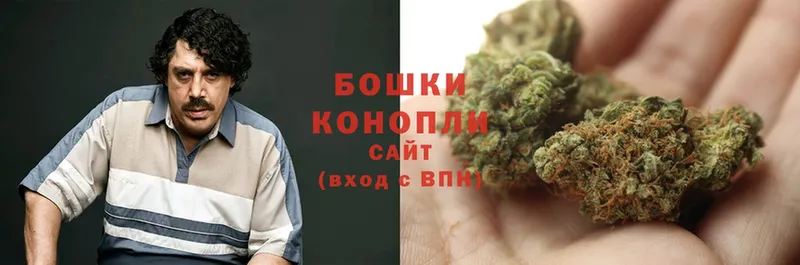 KRAKEN ссылки  Славянск-на-Кубани  Канабис SATIVA & INDICA 